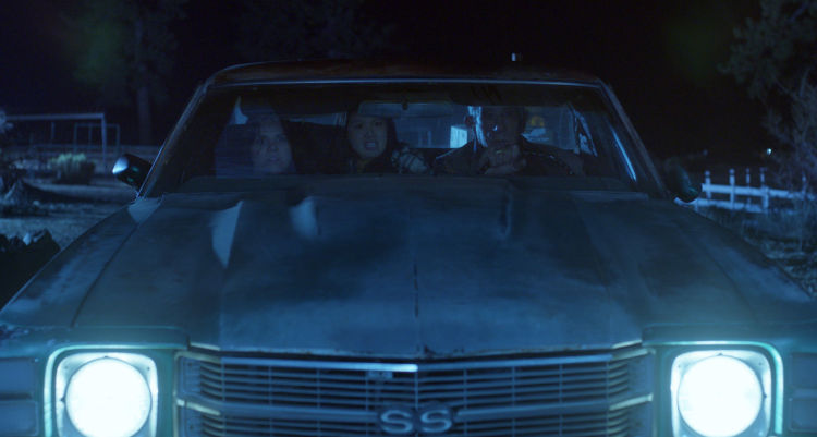 Shaky Shivers (2022) – Triste époque